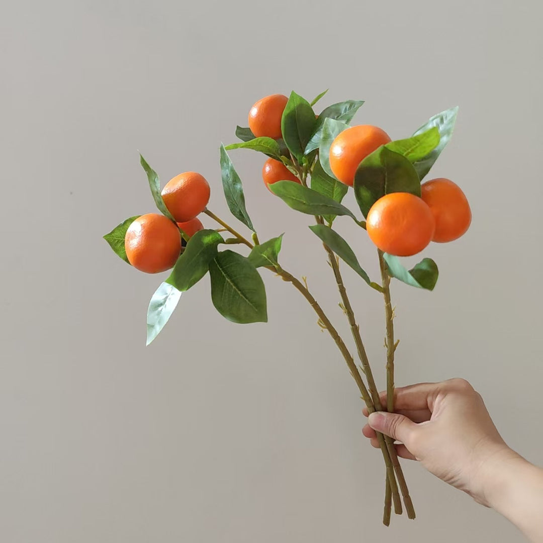 Dekorative Orange Obststängel