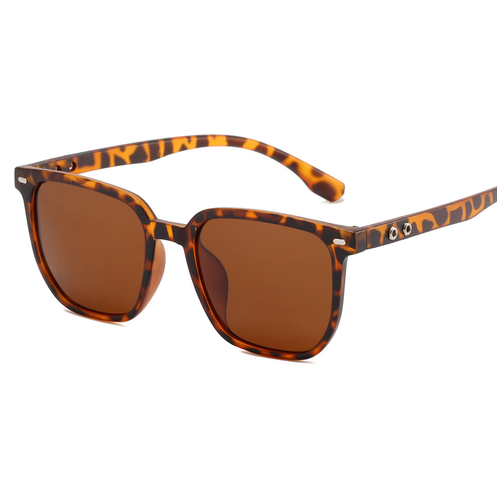 Damen modische Sonnenbrille im trendigen Schildpatt-Design Karnz