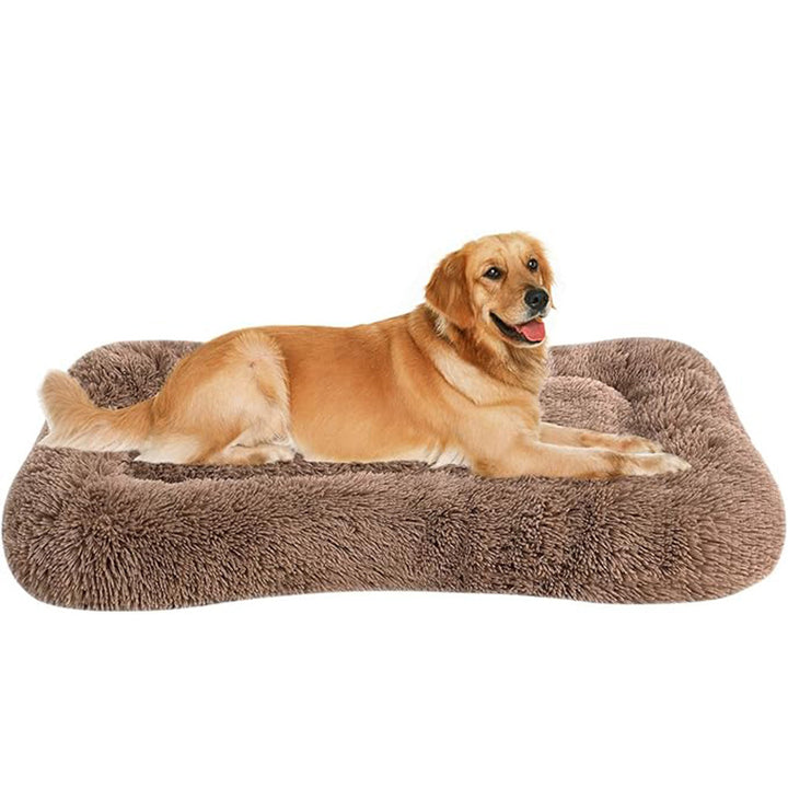 Orthopädisches Hundebett mit Unterstützung