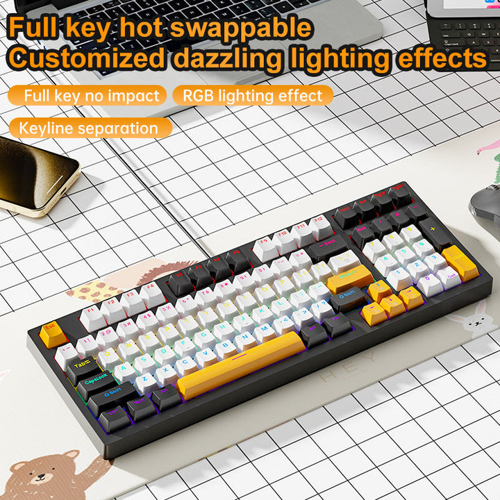 RGB Mechanical Gaming Tastatur mit Hot-Swap-Schaltern Karnz