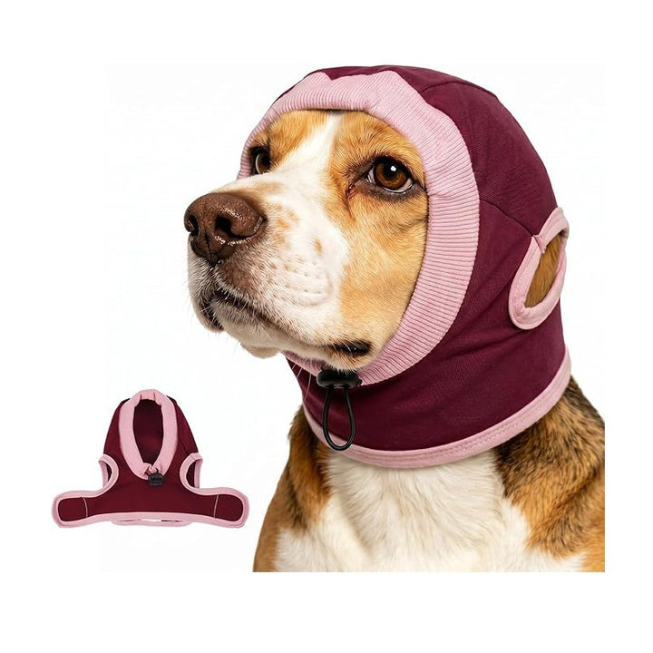 Hundekopfschutz Karnz