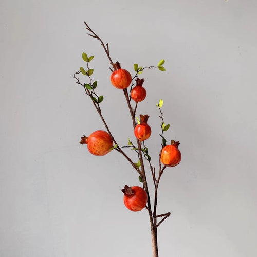 Dekorative Granatapfelzweig