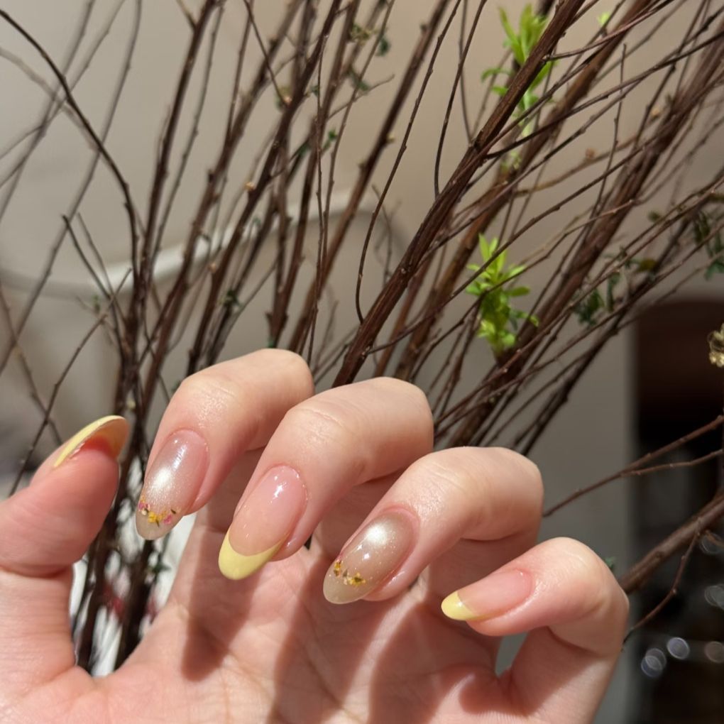 Elegante Ombre French Tip Nagelverlängerungen