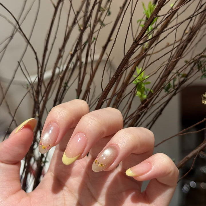 Elegante Ombre French Tip Nagelverlängerungen