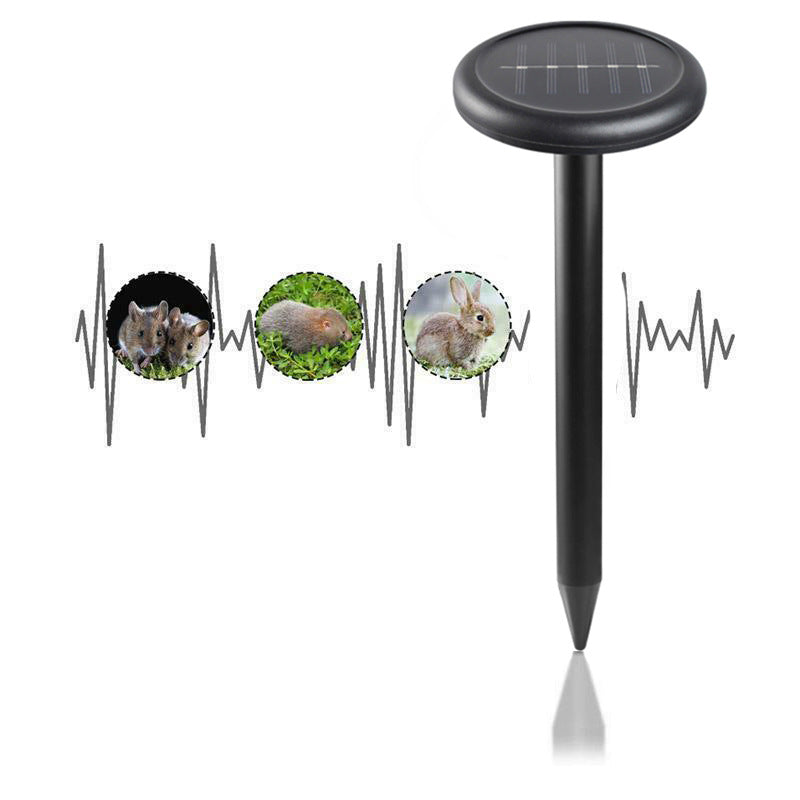 Solarbetriebene LED Landschaftsbeleuchtung