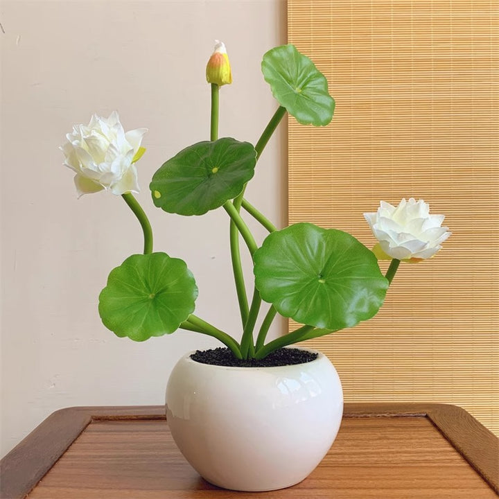 Elegante Lotusblumenarrangement