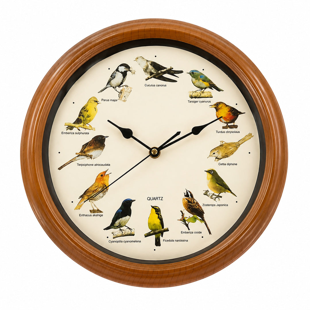 Wanduhr mit buntem Vogeldesign Karnz