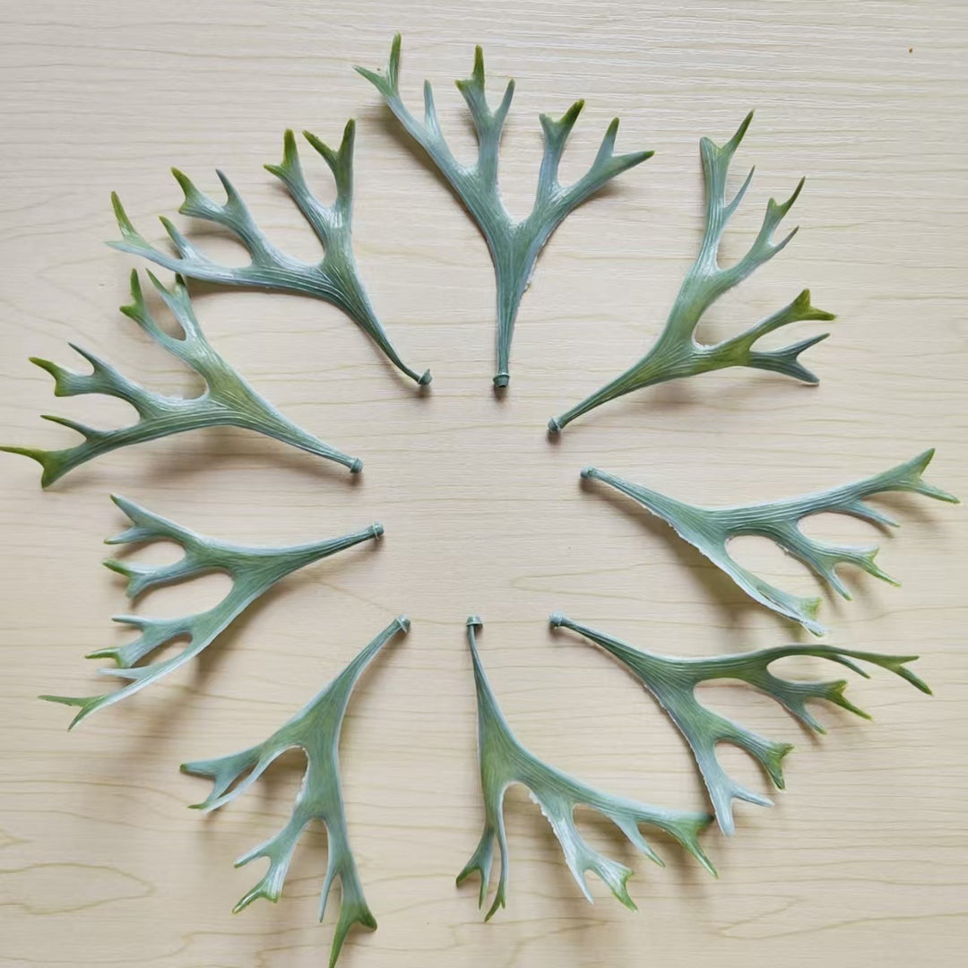 Dekorative botanische Blattstiel