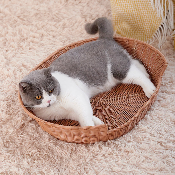 Katzenbett Aus Rattan Karnz