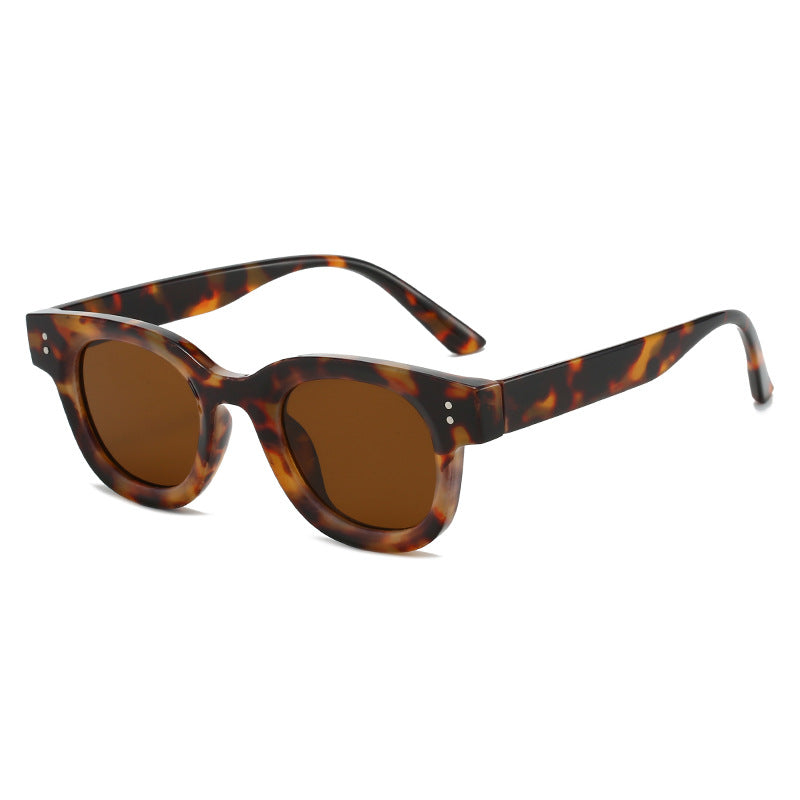 Damen modische Sonnenbrille im zeitlosen Schildkrötenmuster Karnz
