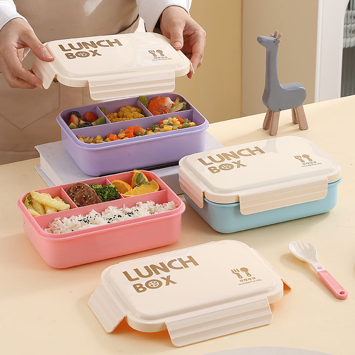 Stylische isolierte Lunchbox