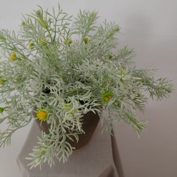 Elegante Dekorative Wildblumenstiel