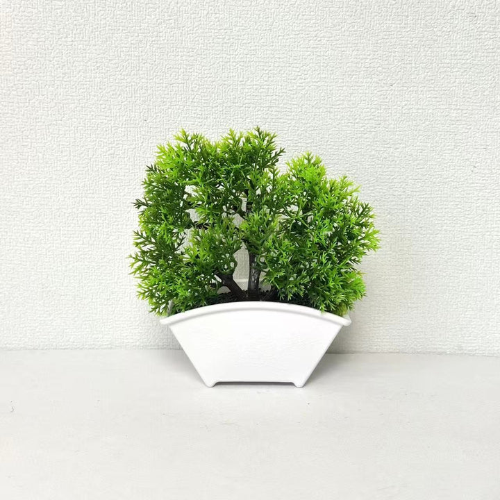 Dekorativer Bonsai-Baum 1790480631 für Wohnkultur