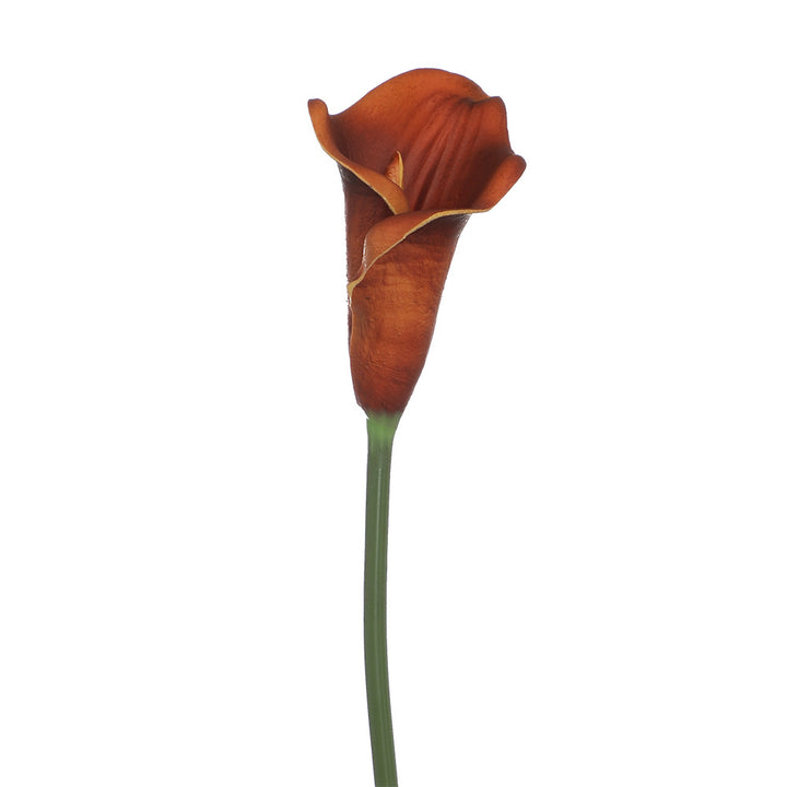 Kunstblume Karnz