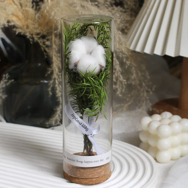 Konserviertes Blumendisplay im eleganten Glaskylinder