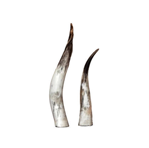 Dekorative Horn Statuen