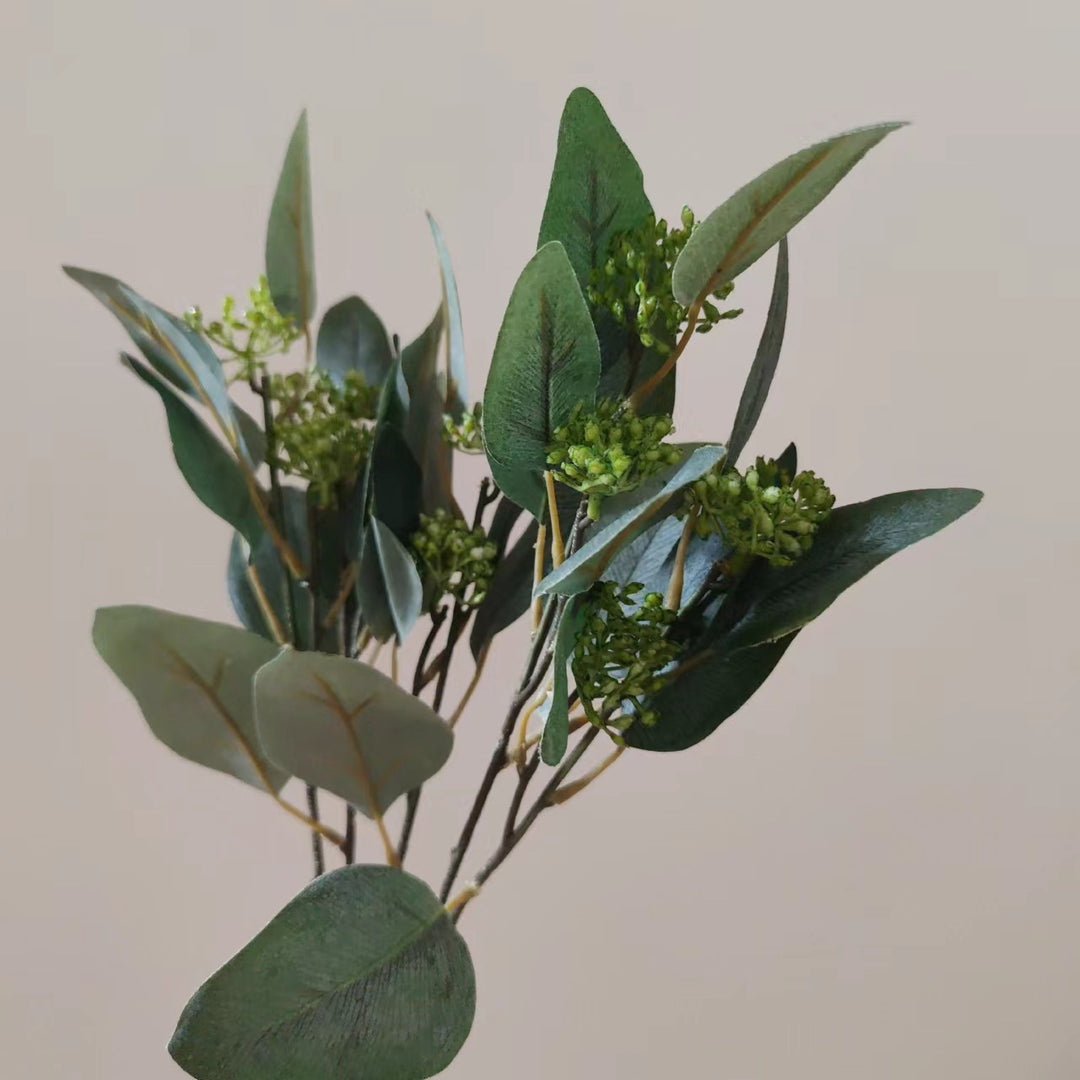 Dekorative Getrocknete Blumenstängel