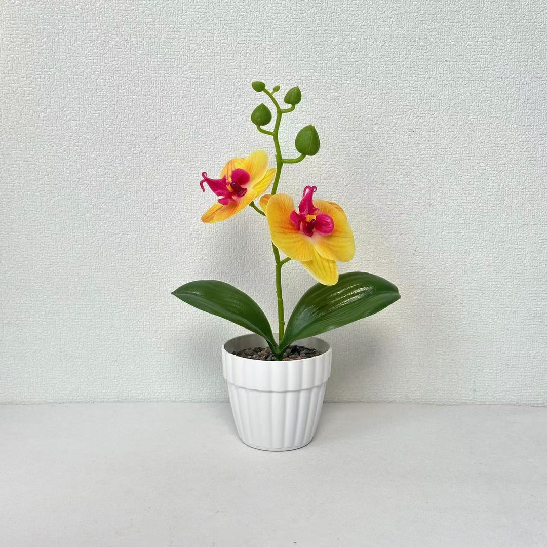 Lebensechte Orchidee Pflanze in dekorativem Keramiktopf für Dekor