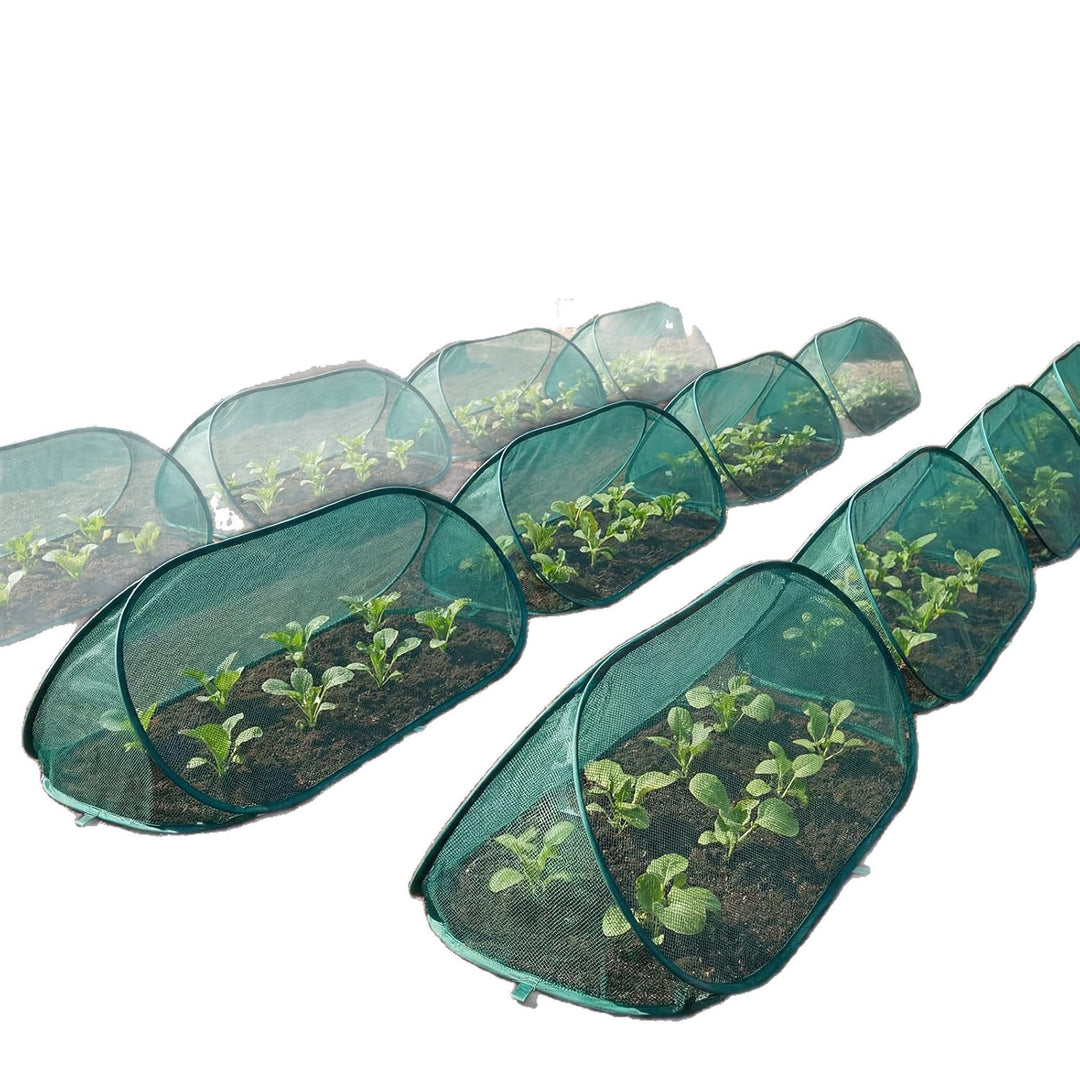 Gartenpflanzen Schutz Karnz