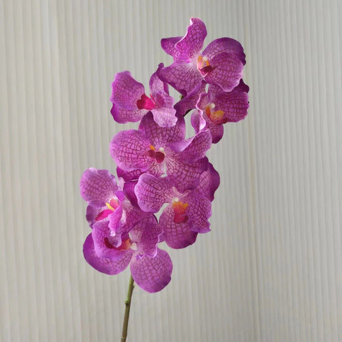 Realistische Orchideenstängel
