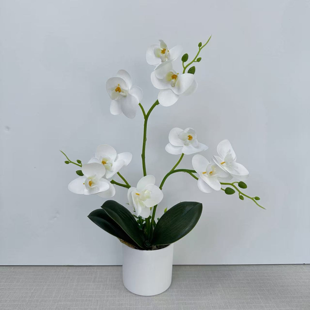 Dekorative Orchidee für die Wohnkulturanzeige