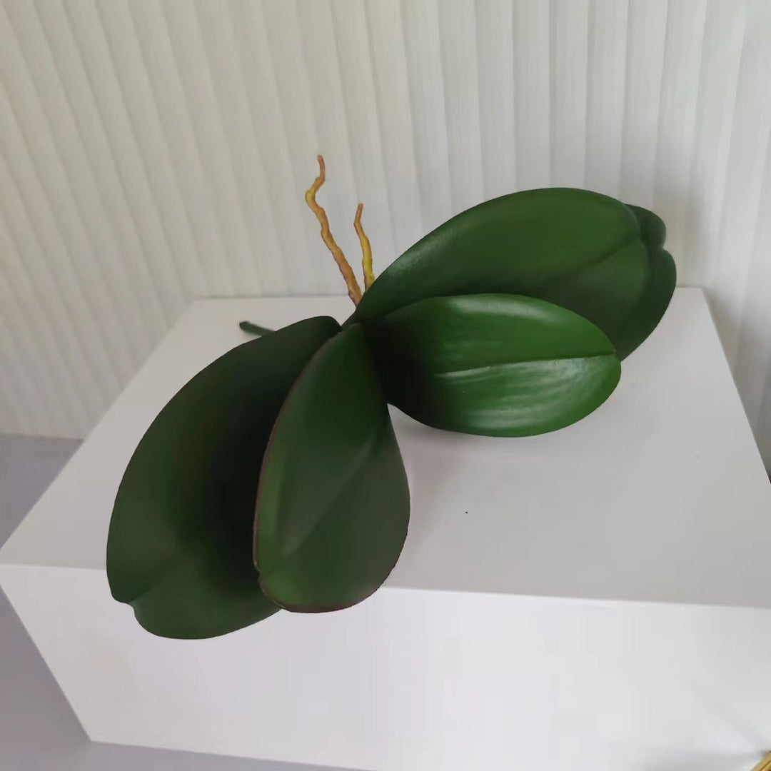 Realistische Orchideenblatt-Anordnung