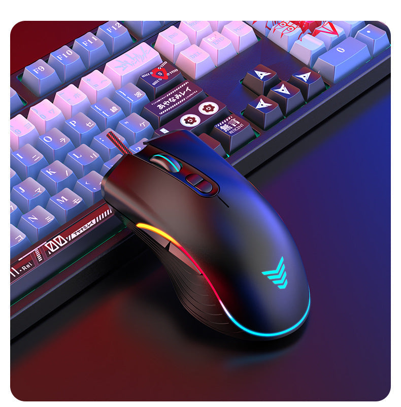 Ergonomische Gaming-Maus Karnz