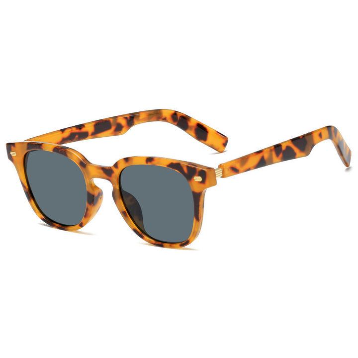 Damen modische Korrektionsbrille mit elegantem Kunststoffrahmen und goldenen Akzenten Karnz