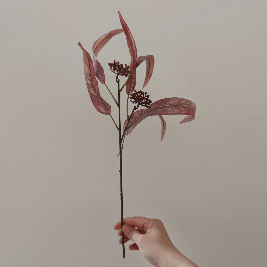 Natürlich getrockneter Blumenstiel