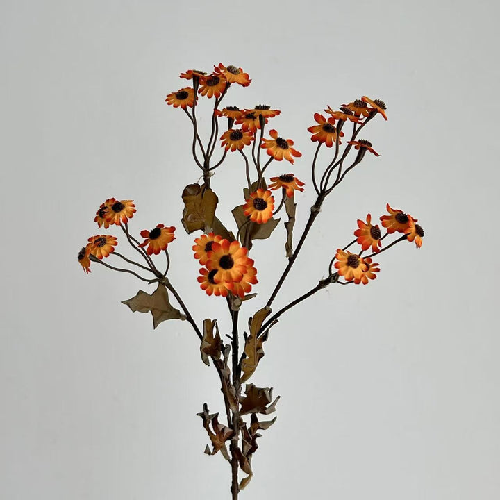 Dekorative Trockenblumen Karnz