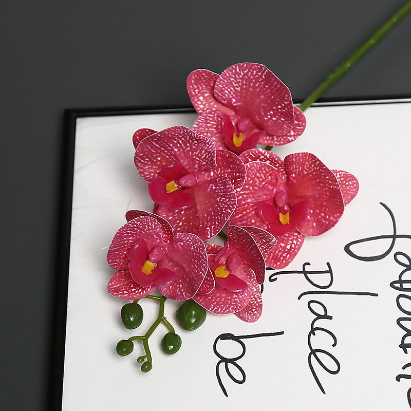 Lebensechter Orchideenblütenstiel