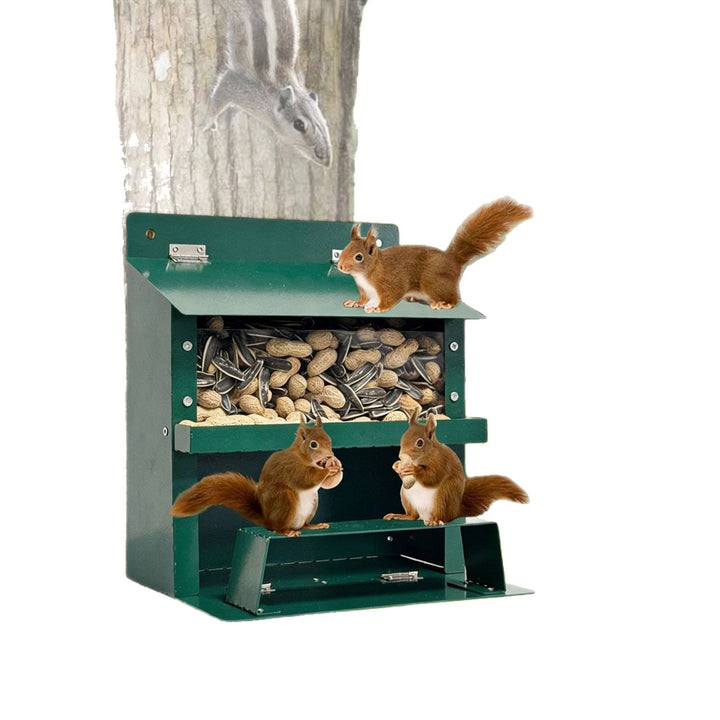 Dekorativer wandmontierter Vogel feeder Karnz