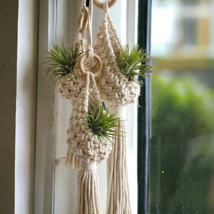 Macrame Hängetopf Karnz