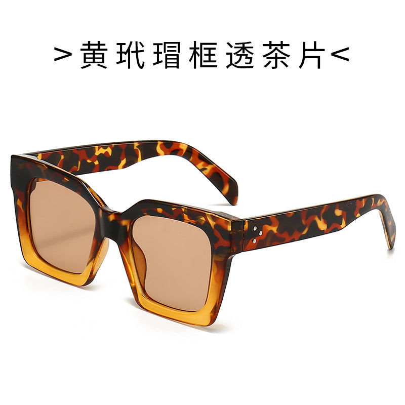 Damen Modische Sonnenbrille im markanten Schildkrötendesign Karnz