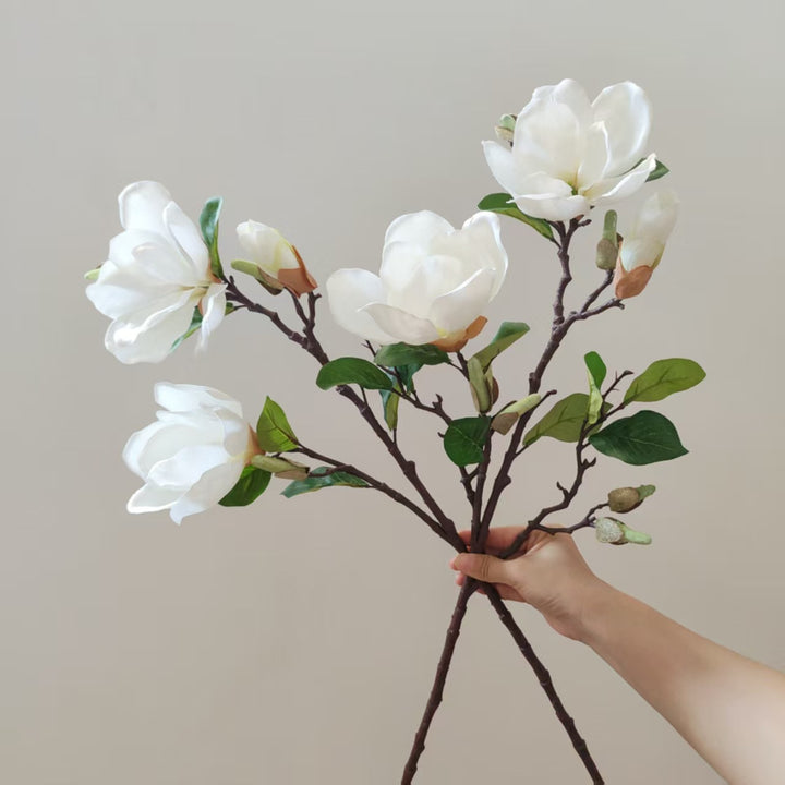 Realistische Magnolienblüte Stamm