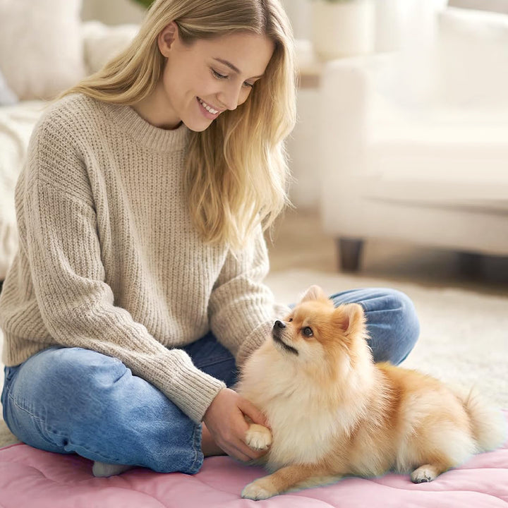 Damen orthopädisches Hundebett Karnz