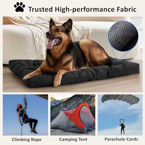 Hunde Bett Karnz