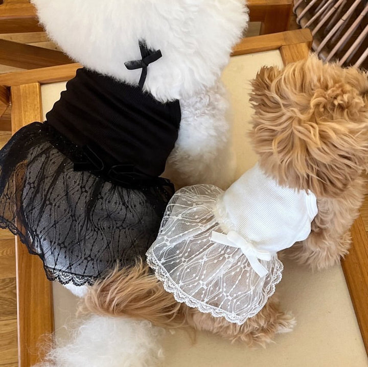 Zartes Spitzen-Tüll-Hundekleid mit gerippter Taille & Dekoration