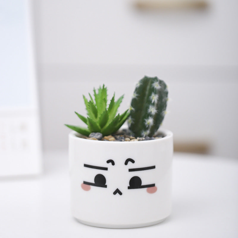 Niedlicher Tier-Themen-Sukkulenten-Planter Karnz