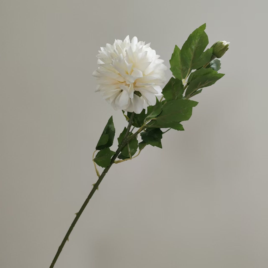 Realistische Dahlienblumenstängel