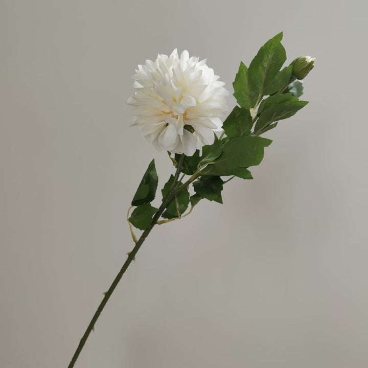 Realistische Dahlienblumenstängel