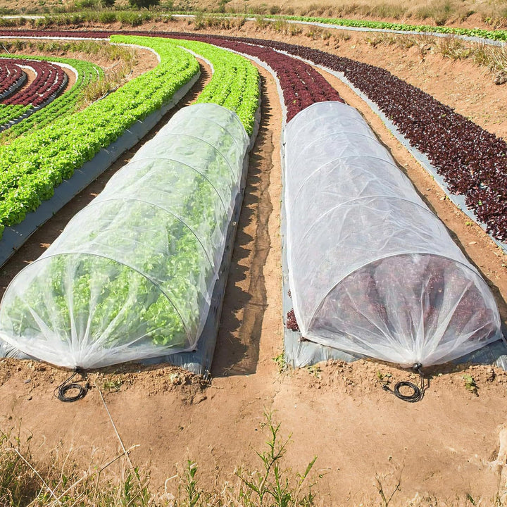 Garten Schutz Tunnelabdeckung Karnz