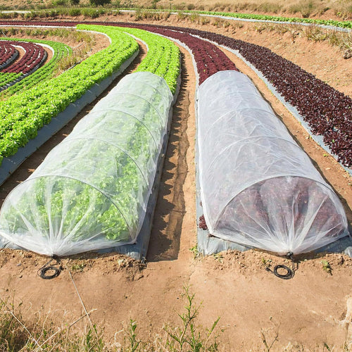 Garten Schutz Tunnelabdeckung Karnz