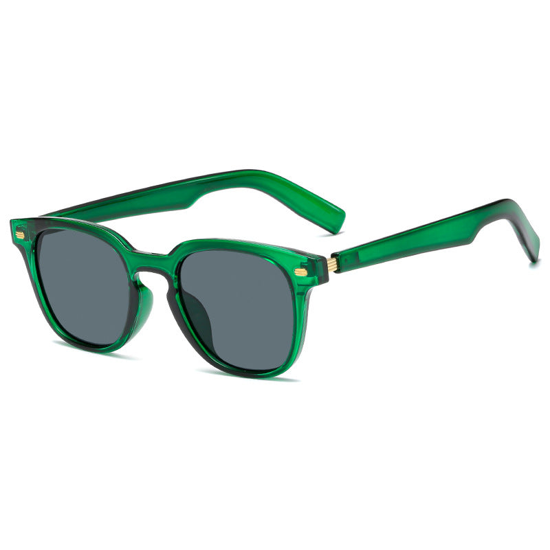 Damen modische Korrektionsbrille mit elegantem Kunststoffrahmen und goldenen Akzenten Karnz