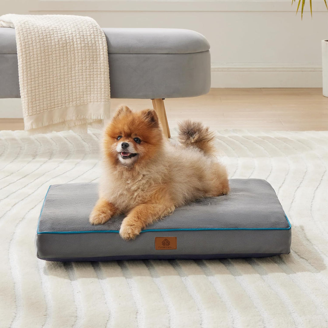 Orthopädisches Hundebett mit Unterstützung