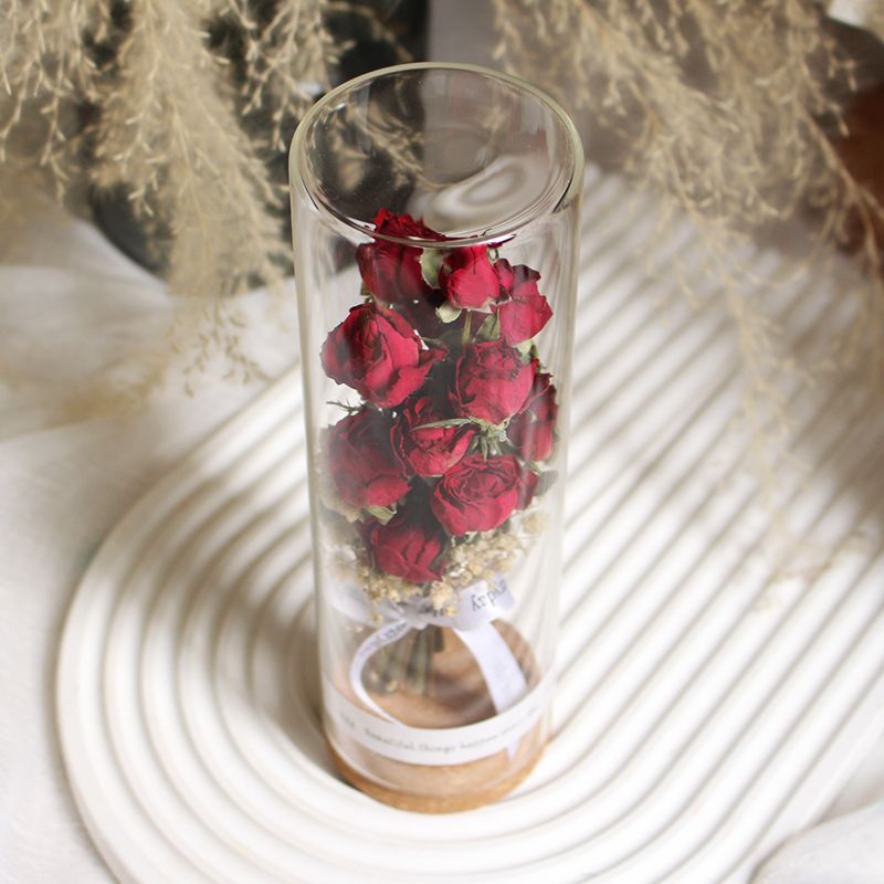 Konserviertes Blumendisplay im eleganten Glaskylinder