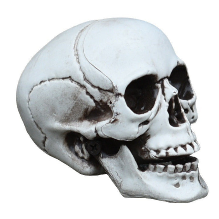 Dekorative Schädelfigur Karnz
