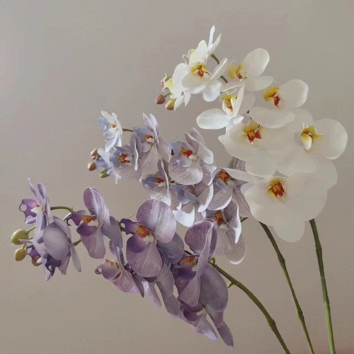 Lebensnahe Orchideenblüten-Ranke