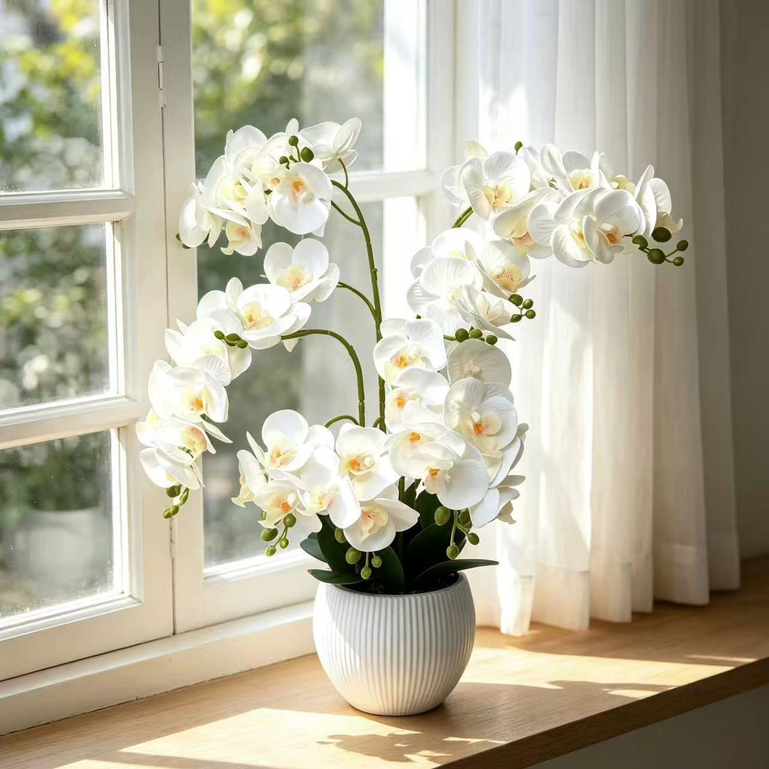 Lebensechte dekorative Orchideenarrangement für die Innenausstattung