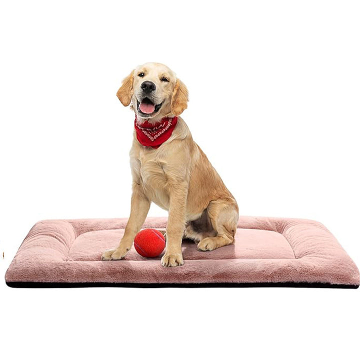 Komfort   Hundebett